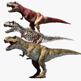 T Rex Anatomy 3D 3D model
